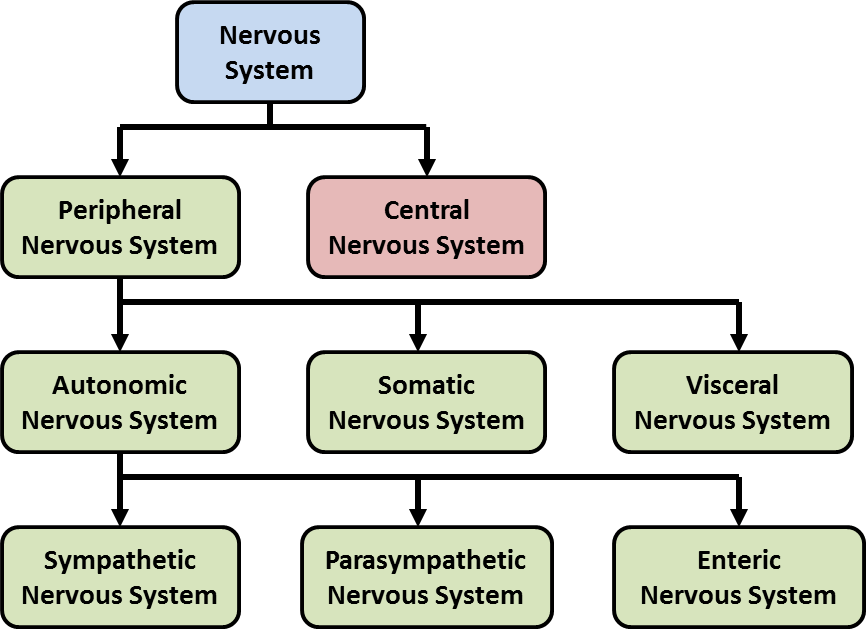 system components diagram**