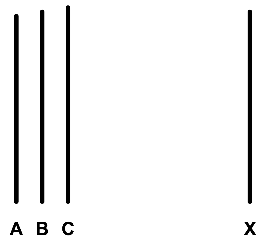 Asch conformity experiment labelled diagram**