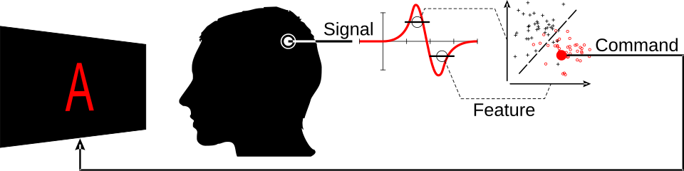 Brain-computer interface labelled diagram**