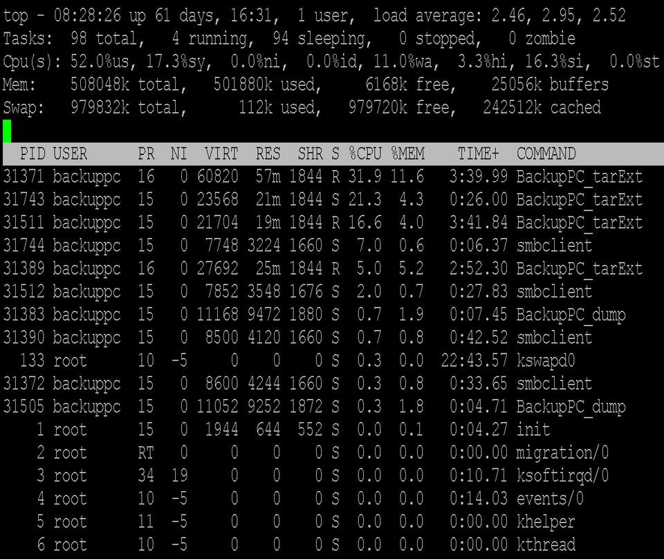 top command output