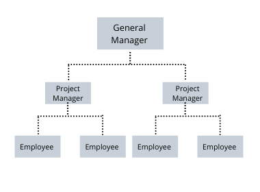 organizational structure diagram labeled