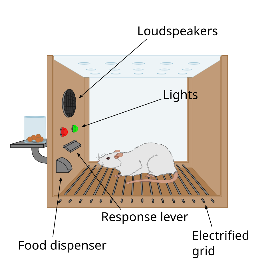 Skinner box experiment
