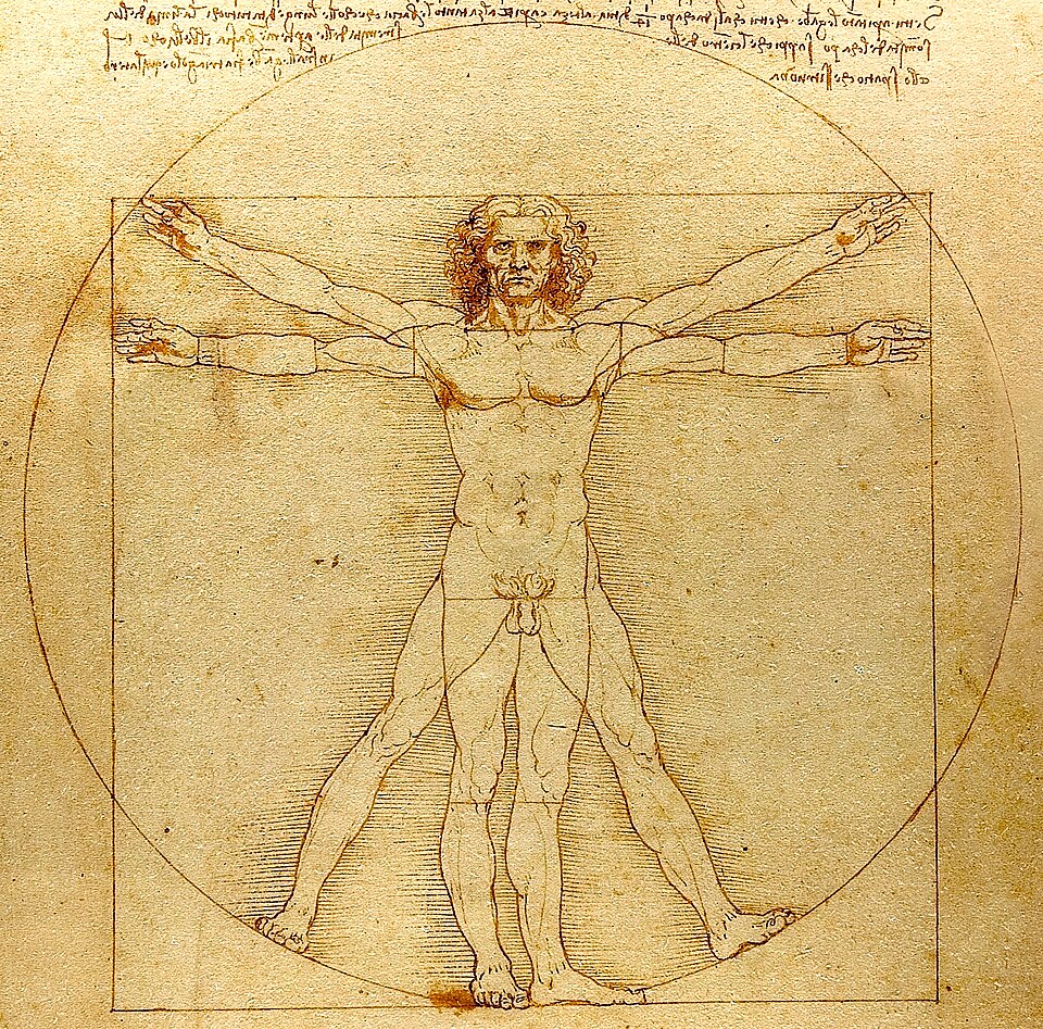 Leonardo da Vinci’s Vitruvian Man diagram**