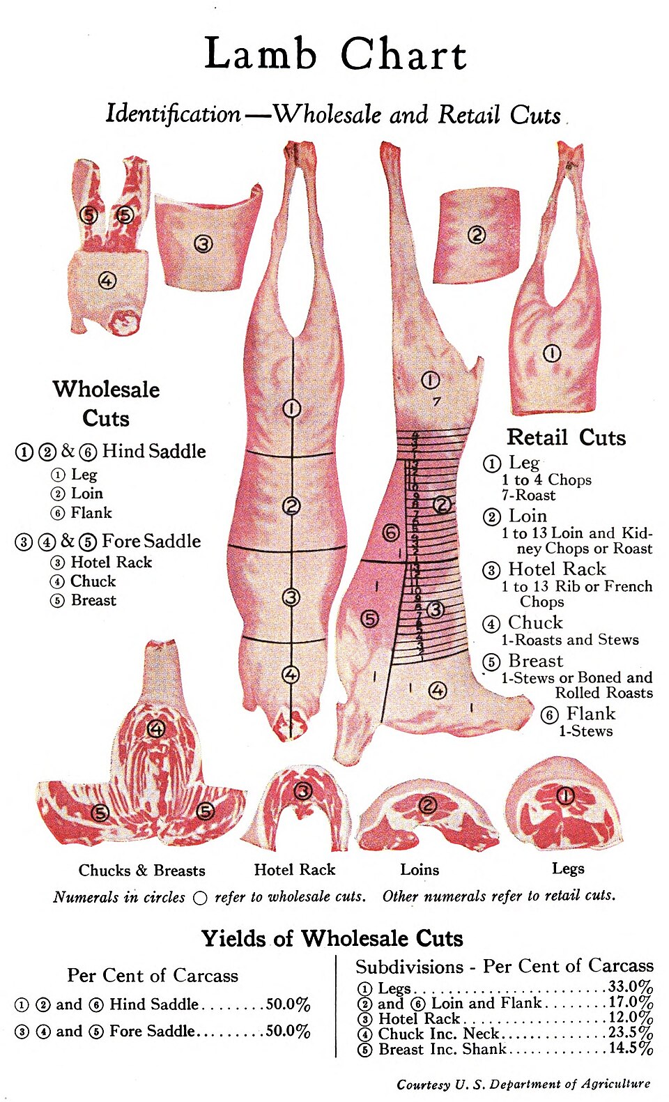 lamb/mutton cuts labelled diagram**