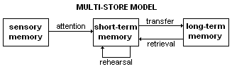 multi-store memory model diagram**