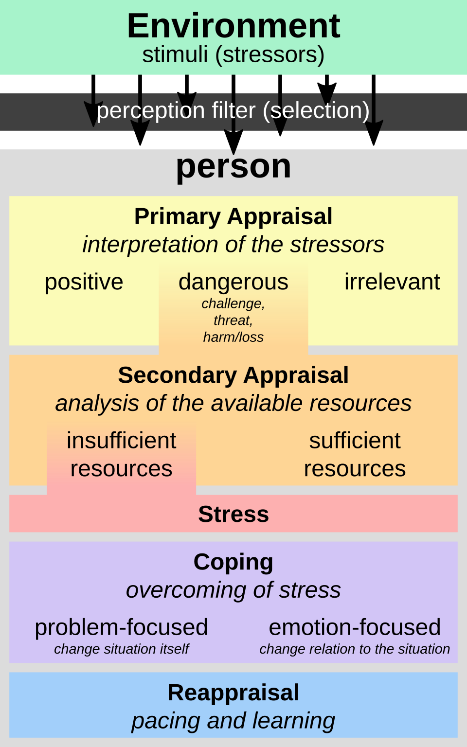 transactional model of stress labelled diagram