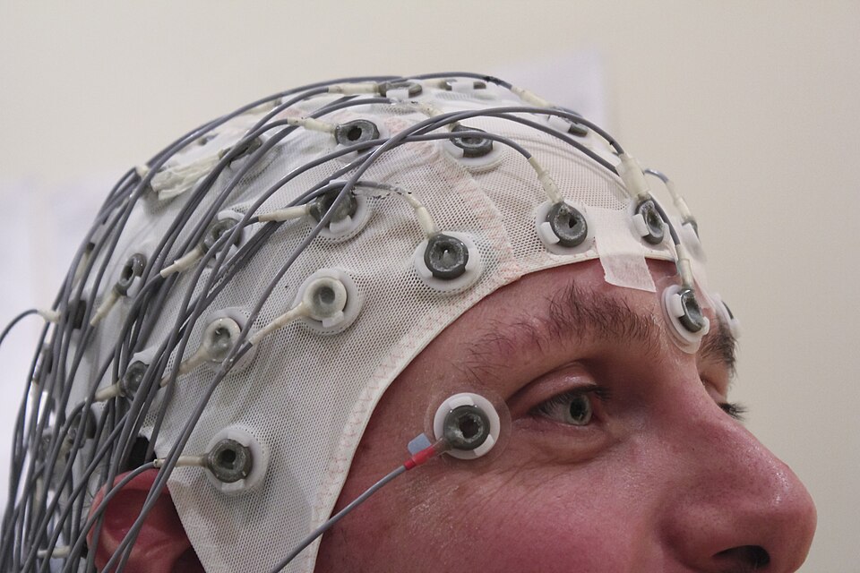 EEG cap electrodes diagram