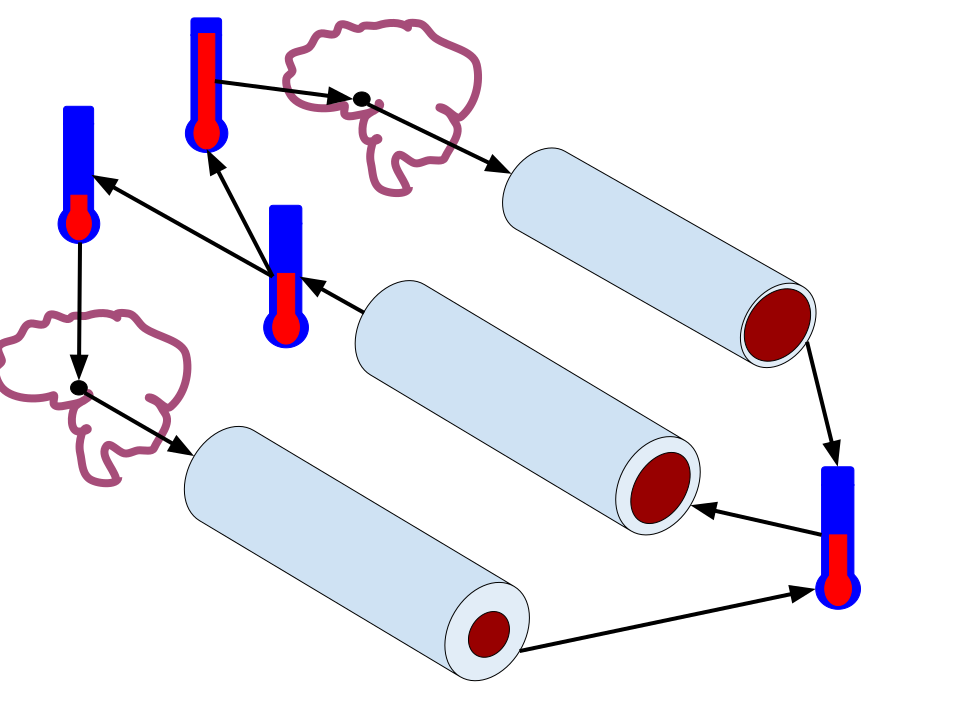 Negative feedback loop diagram