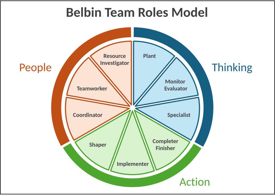 Belbin team roles diagram**