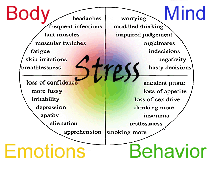 stress symptoms diagram