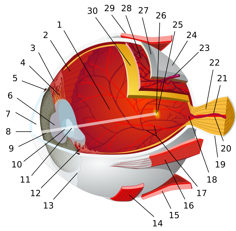 eye diagram