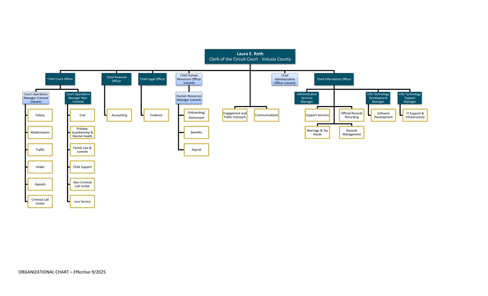 organizational chart example