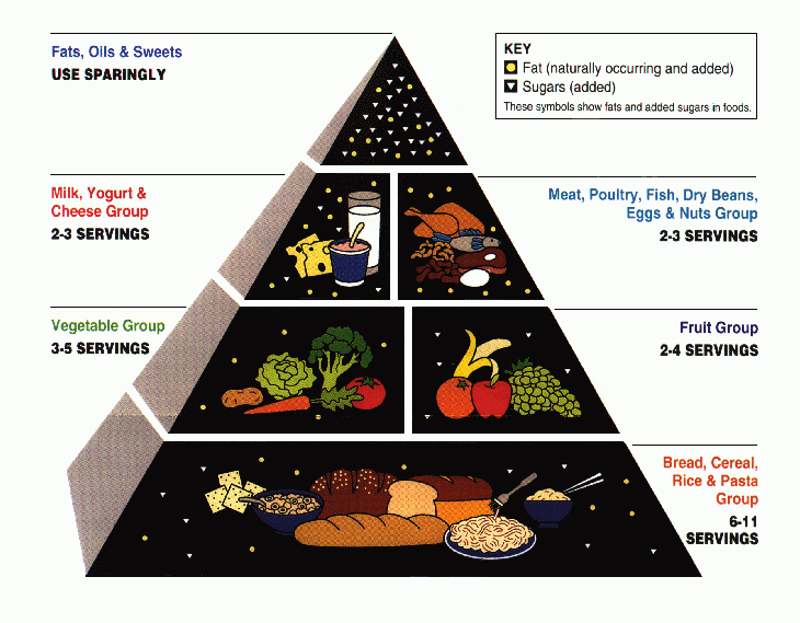 food pyramid diagram**