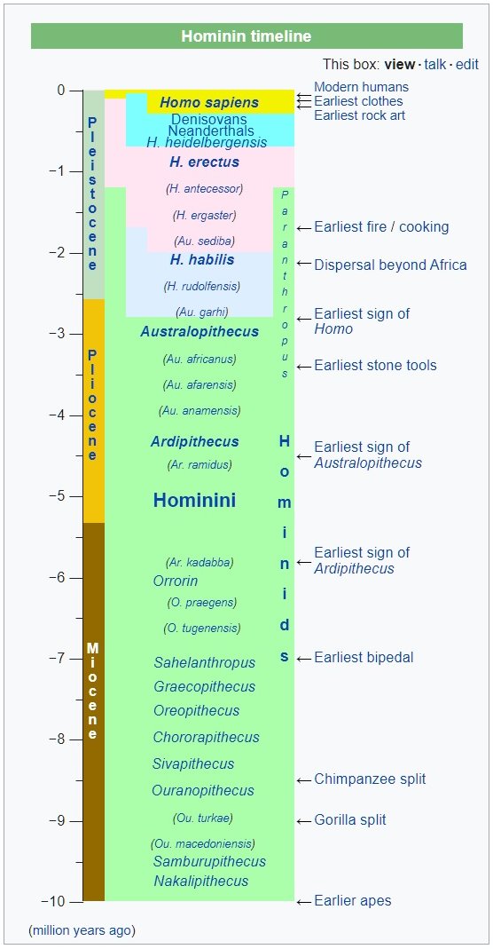 human evolutionary timeline