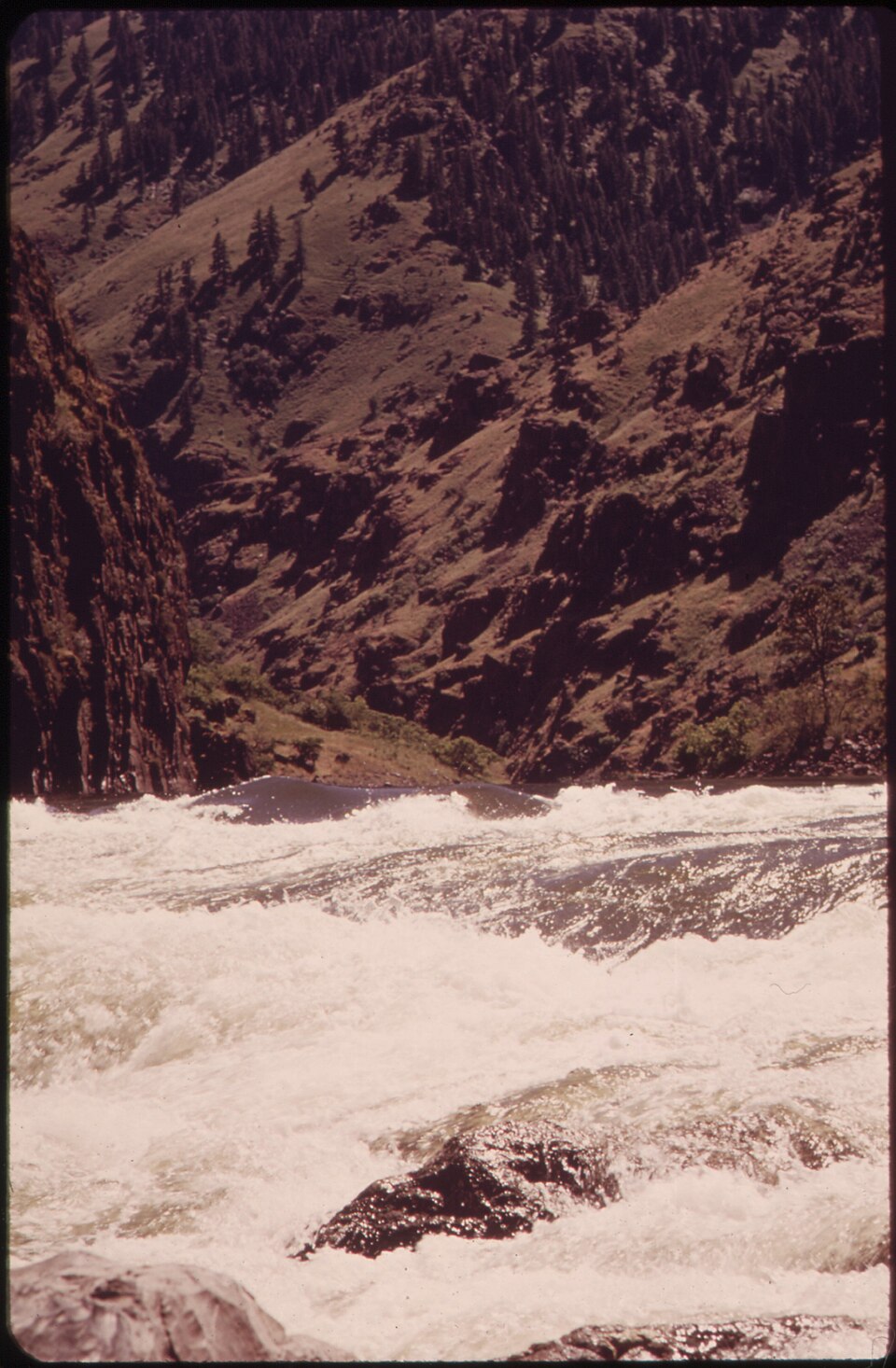 rapid river rafting adventure