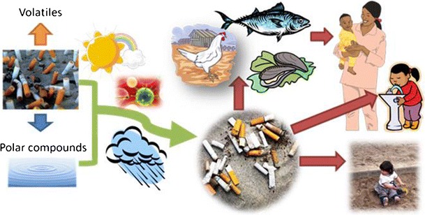 health risks of tobacco labelled diagram**