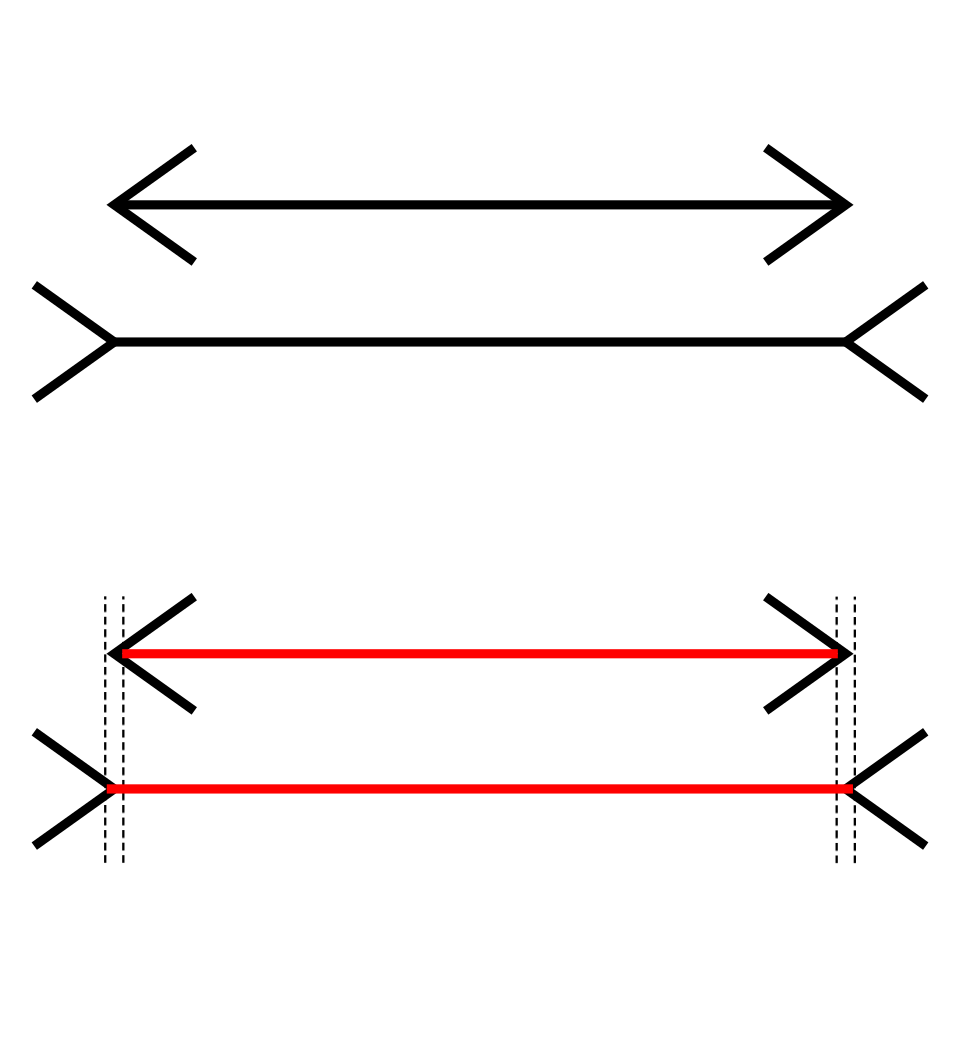 Muller-Lyer illusion labelled diagram