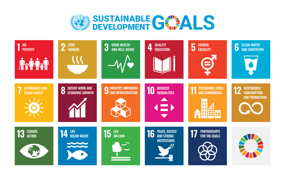 sustainable development goals (SDGs) infographic