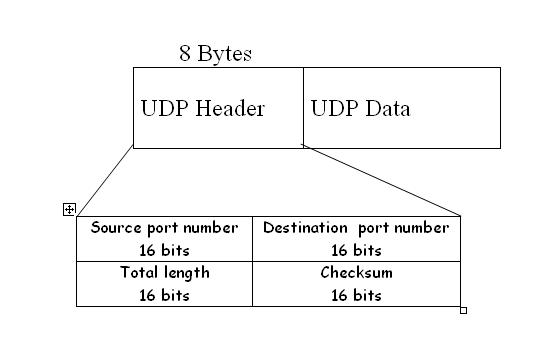 UDP datagram format diagram