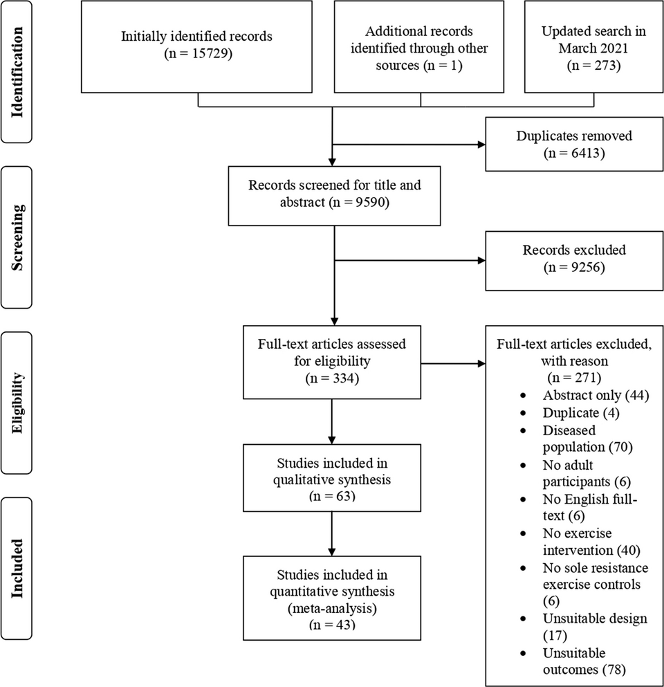 literature review process flowchart**