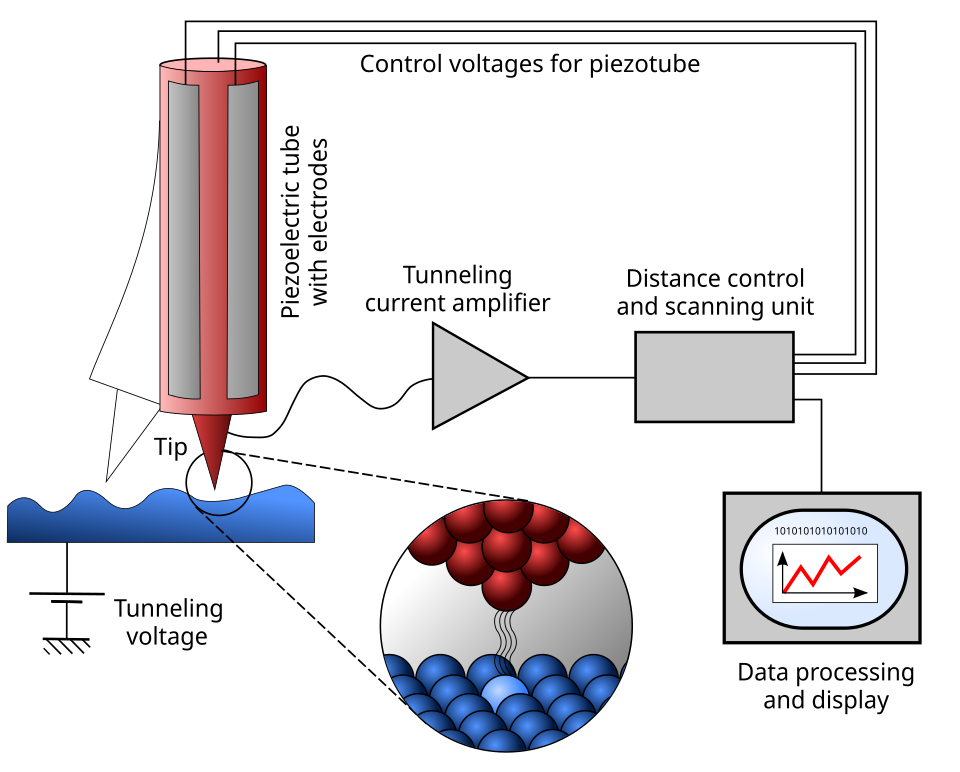 scanning tunneling microscope labelled diagram
