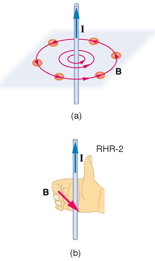 magnetic field around a current-carrying straight wire labelled diagram**