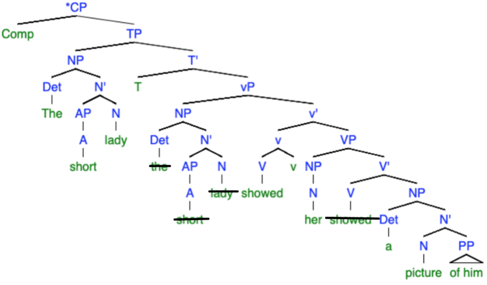 sentence structure diagram
