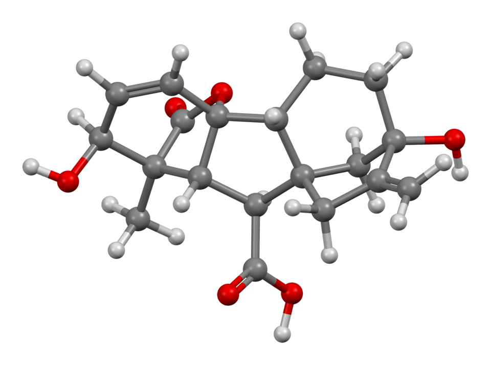 gibberellic acid structure