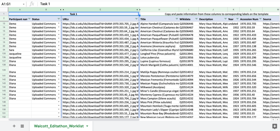 spreadsheet