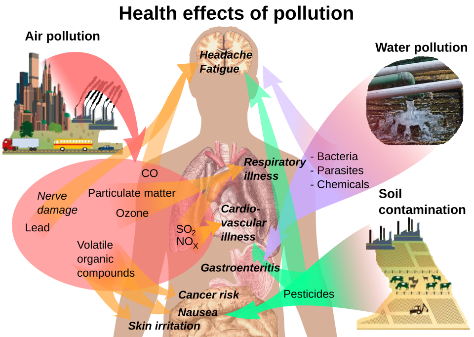 pollution effects on humans