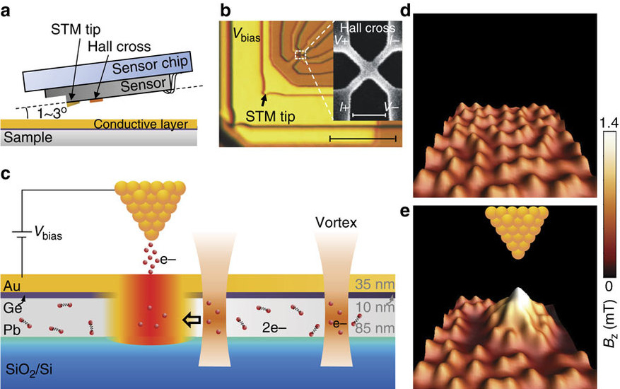 scanning tunneling microscope STM labelled diagram