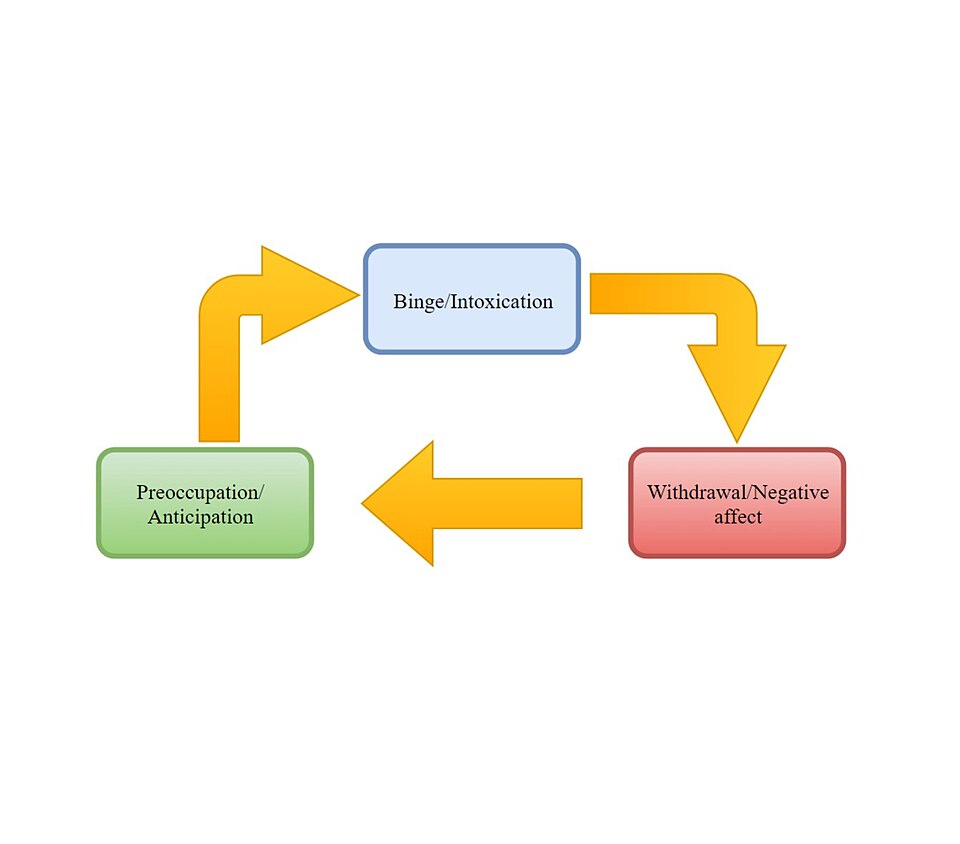 addiction cycle diagram**