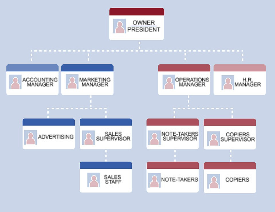 business organization chart