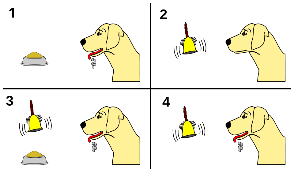 Pavlov dog experiment