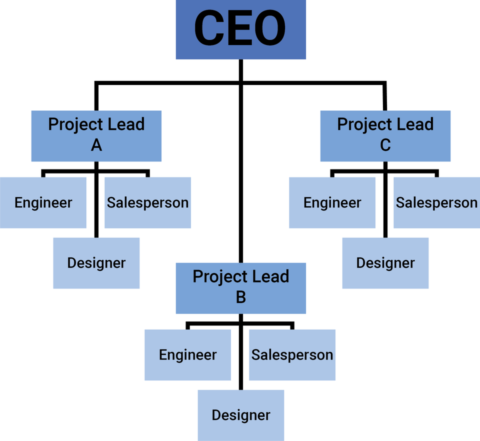 organizational chart of a matrix project team**