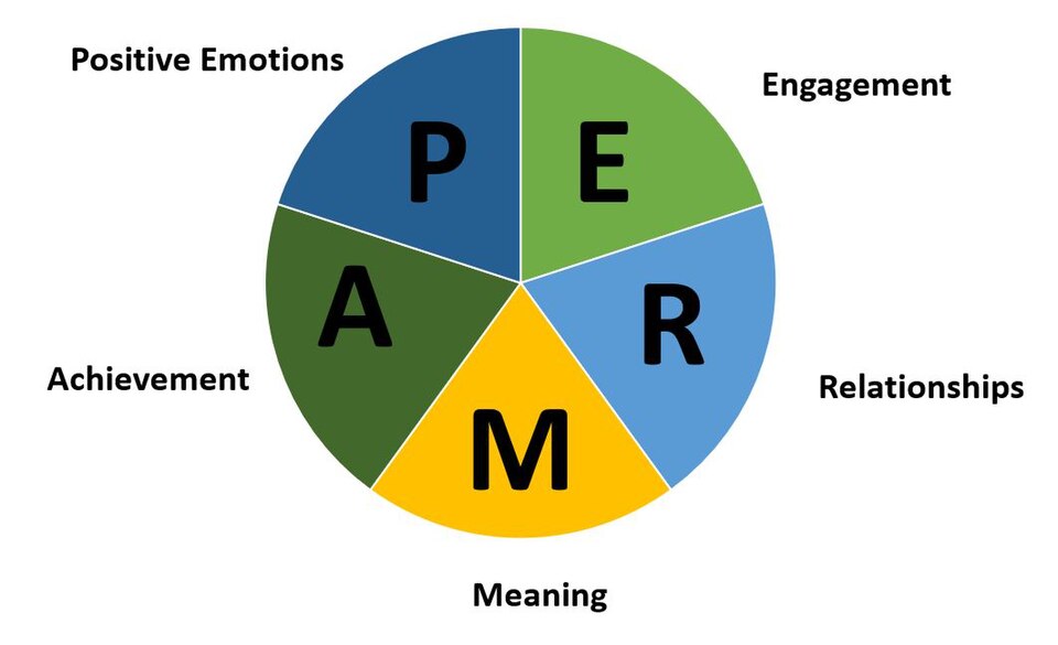 PERMA model diagram labelled**