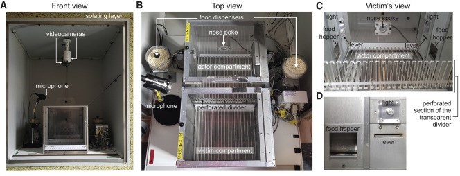 Psychology experiment setup
