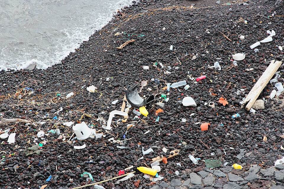 plastic pollution ocean beach
