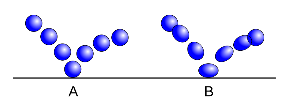 squash and stretch animation labelled diagram